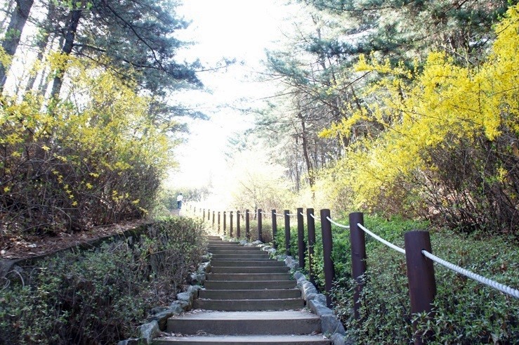 고척근린공원 전경 4